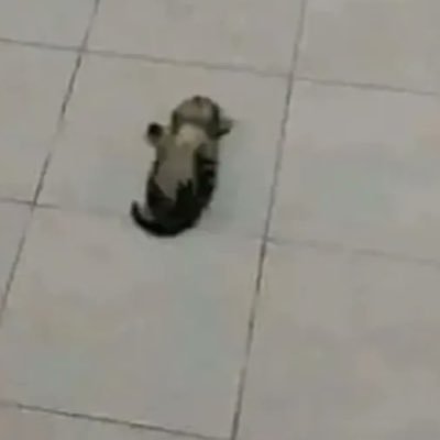 re_5vlg's profile picture. 🗝@r_ene05￤CS Valorant🎮