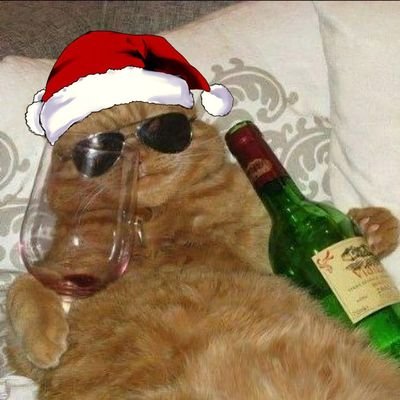 saggboi's profile picture. happy holidays, if u don't care, happy existing in this economy 🤪