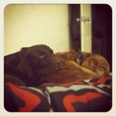 Anthony Higareda - @ahigareda25 - Twitter