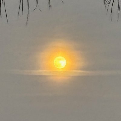 beth0063's profile picture. "I only regret that I have but one life to lose for my country."--Nathan Hale, the Revolutionary War spy who was hung by the British in 1776; maybe an ancestor.