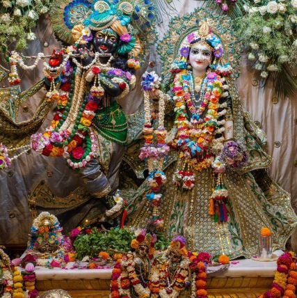 aryan143109's profile picture. 