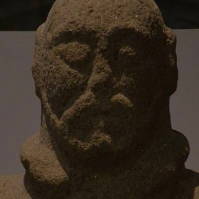 Scordiscus's profile picture. 