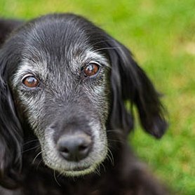 mcginnisstor051's profile picture. 