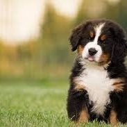 bloom18_typ0512's profile picture. 