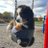 Thelilererfella's profile image