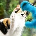 smithsmug_0512's profile picture. 