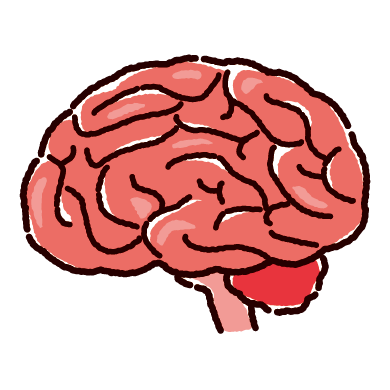 9ggvHaMErm6595's profile picture. 脳の設計を変えて、人生を勝ちとる。・脳神経外科医師📚 MD, PhD ▶︎朝4時起き▶︎人生を“脳ハック”で設計する。