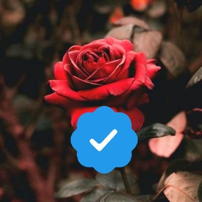 Dr4amro's profile picture. فـــــــــرررزز ●☆10k