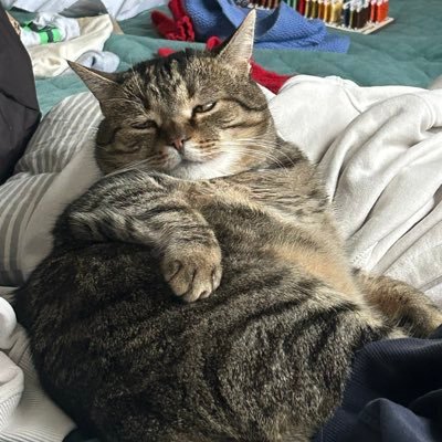 druzheneduzhe's profile picture. 