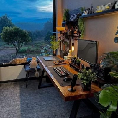 Alineshine1's profile picture. Do your best.