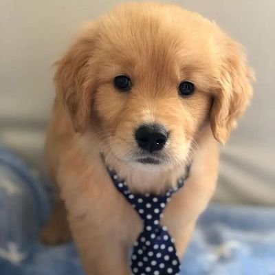 imjackoffl's profile picture. 