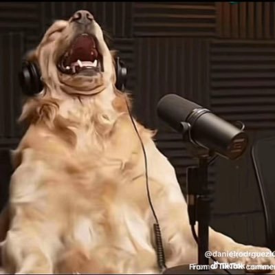 AaronLu66201330's profile picture. 