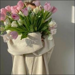 Padulla282319's profile picture. 