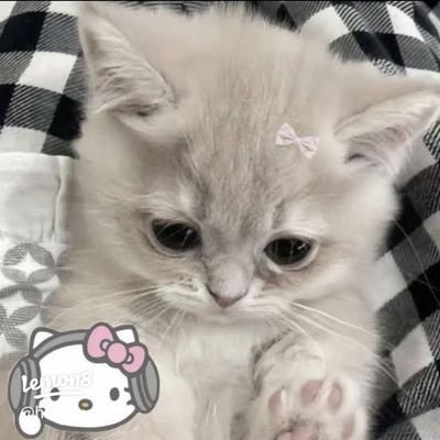 snowangeljane1's profile picture. No bio yet