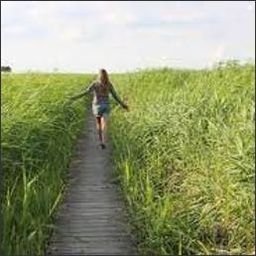 BackerBran8405's profile picture. Hi, I'm from Queens, New York. I'm currently single and enjoy exchanging valuable information with friends.