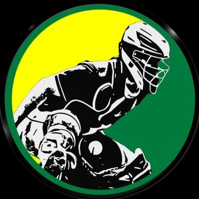 under2catching's profile picture. Former 11 year Pro Catcher...
Current Scout and Trainer ⚾️🥎...
Catching Coach @NiagaraTwolves...
Designer of AllStars CM100TM...
#focusteam #mfra