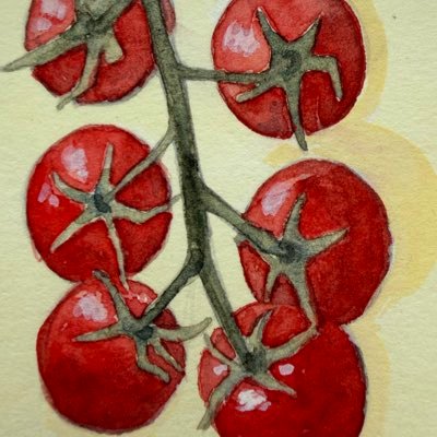 Layan_AS0's profile picture. study / random log