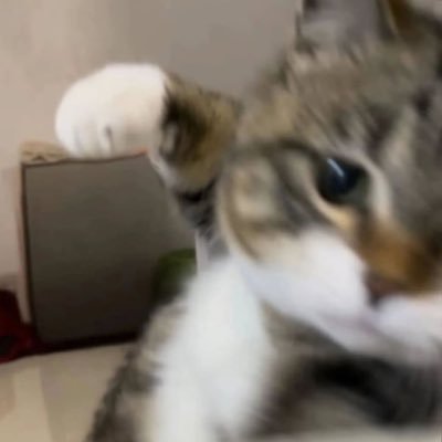 crazy_dev_'s profile picture. 코스프레