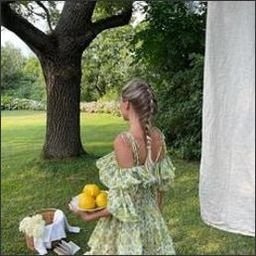 Natividad183281's profile picture. 