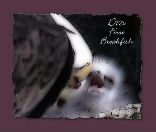 CrystalFormby's profile picture. 