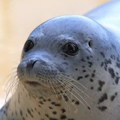 exploitxbt's profile picture. Perps & Futures trader.