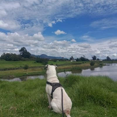 DanielA72800813's profile picture. Se me pueden ocurrir mil cosas para poner acá, pero al final ninguna me gusta.