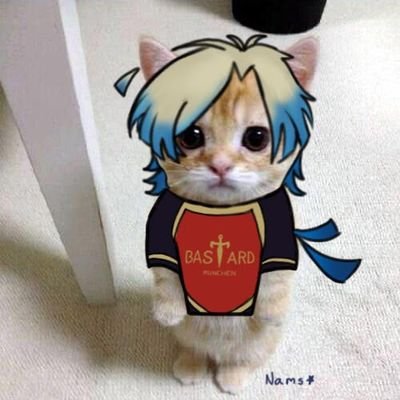 ziop_molz's profile picture. 