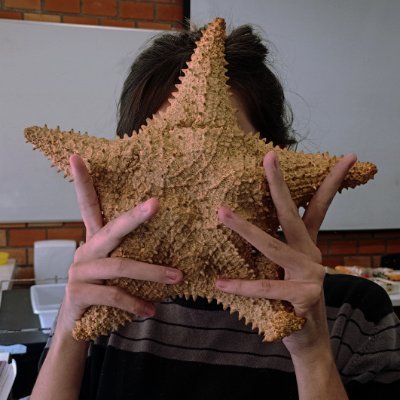 dropofneptune's profile picture. eu sou lesbica e estudo biologia isso é td que vc precisa saber sobre mim 👍