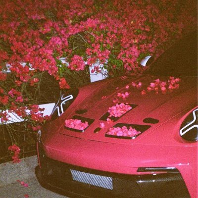 Mupp3n's profile picture. 