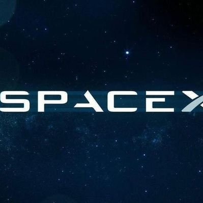 elonfannchat's profile picture. 