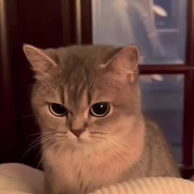 CookedBy0's profile picture. don’t cry cause it’s over. smile bc it happened.