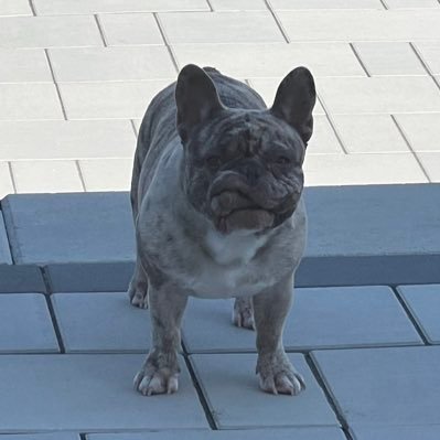 Coops0973's profile picture. 