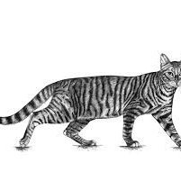 harrisgrimy0612's profile picture. 