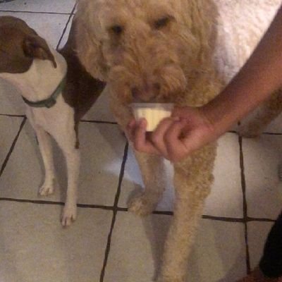 Yeaaa494746's profile picture. 