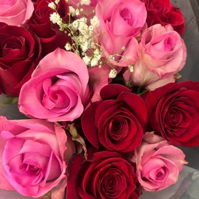 vaner12m's profile picture. 