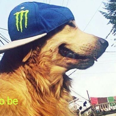 twogoldfishies's profile picture. 🦠 any pronouns 17⠀⠀⠀⠀ ⠀⠀⠀⠀⠀⠀ ⠀⠀⠀⠀⠀