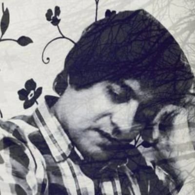 DBilverdi's profile picture. 