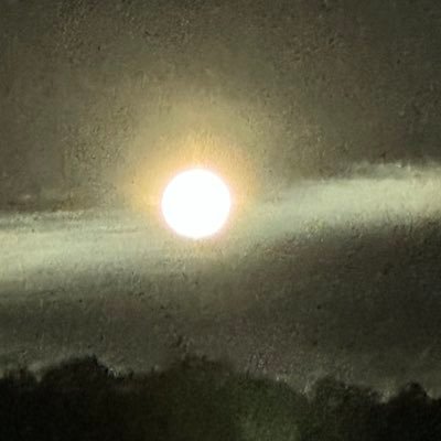 Zn92hx's profile picture. FÉ