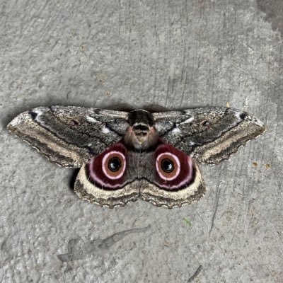 latest_whats's profile picture. Watch the world through my lense