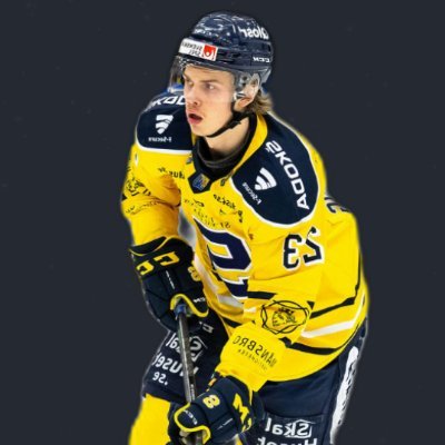 Jxndez's profile picture. |17🇸🇪| @easportsnhl player for @SSKEsports