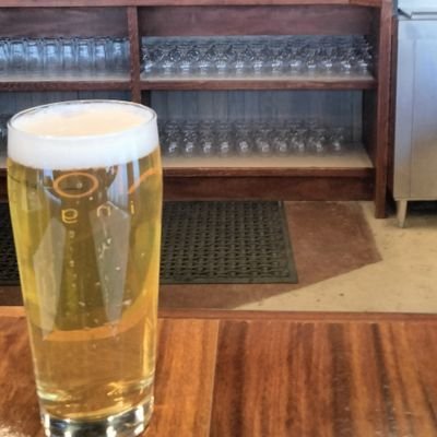 MSiedelberg's profile picture. a ship is safe in the harbor but, that's not what ships are built for...