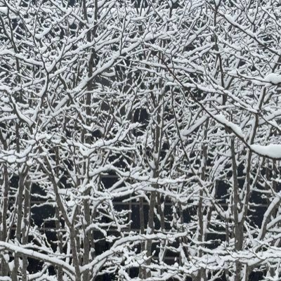 amtayb's profile picture. cmu cs