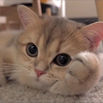 Misxory's profile picture. 