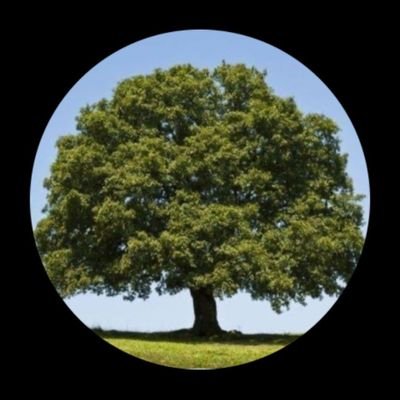 Betulllllll35's profile picture. 