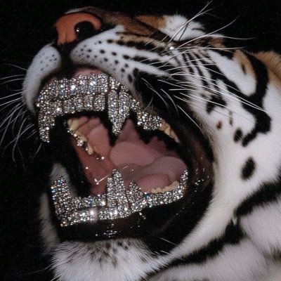 1dobz's profile picture. Retired. #80FOV ツ