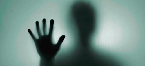 Paranoidrd3v's profile picture. 