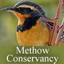 The Methow Conservancy is a locally-based, member supported, nonprofit organization inspiring people to care for and conserve the land of the Methow Valley.