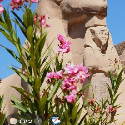 CapekKenaSvs's profile picture. @CakraGundul kena 🍣