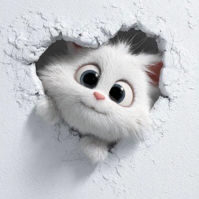 knsho181138's profile picture. 