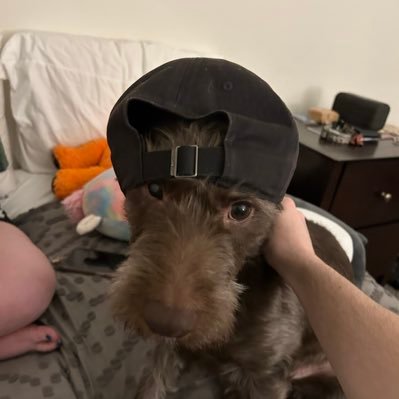 Gtff750858's profile picture. I like The Finals!